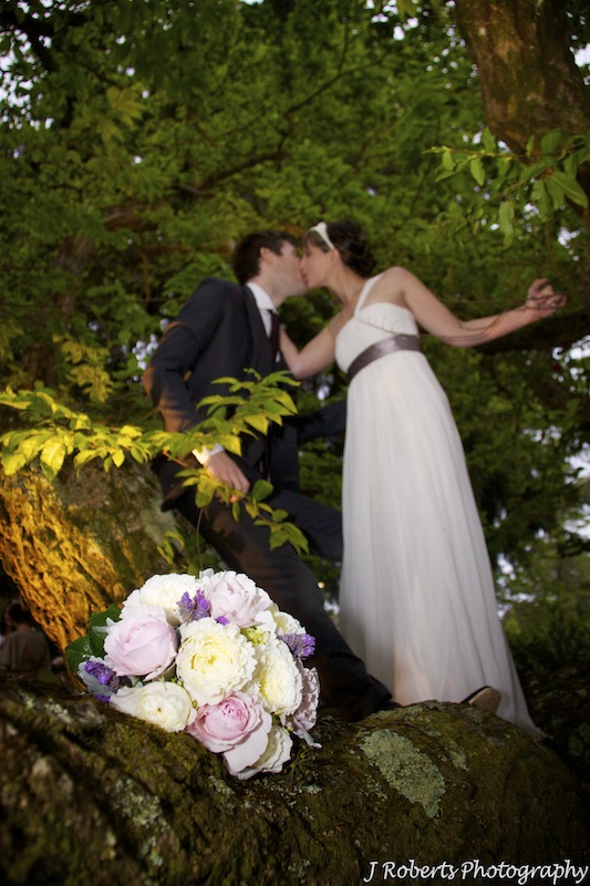 Bride and groom kissing in a tree - wedding photography